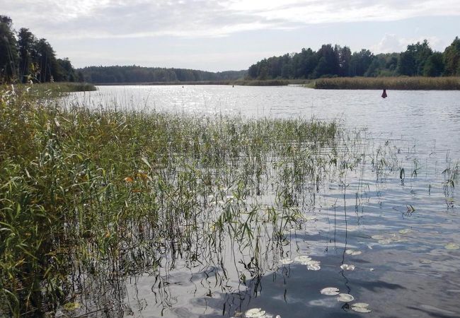 Ferienhaus in Säffle - Eine Naturperle mit Boot und Sauna am Vänernsee