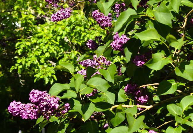 Ferienhaus in Vena - Gemütliches Ferienhaus unweit von Astrid Lindgrens Welt Ferienhaus in Vena - Gemütliches Ferienhaus unweit von Astrid Lindgrens Welt
