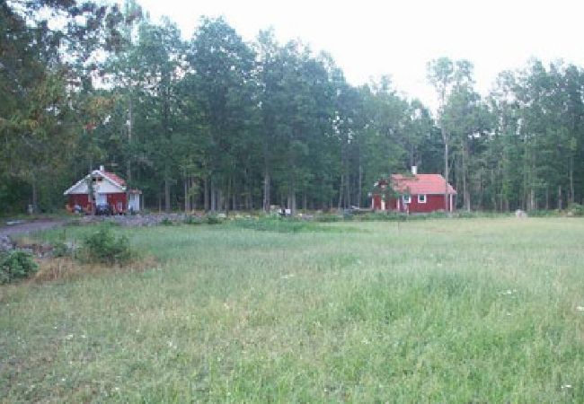 Ferienhaus in Oskarshamn - Smålandurlaub im Wald zwischen Seen und Ostseeküste