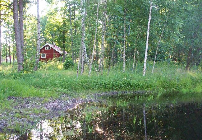 Ferienhaus in Oskarshamn - Smålandurlaub im Wald zwischen Seen und Ostseeküste