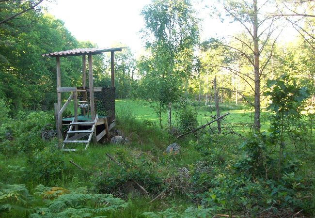 Ferienhaus in Oskarshamn - Smålandurlaub im Wald zwischen Seen und Ostseeküste