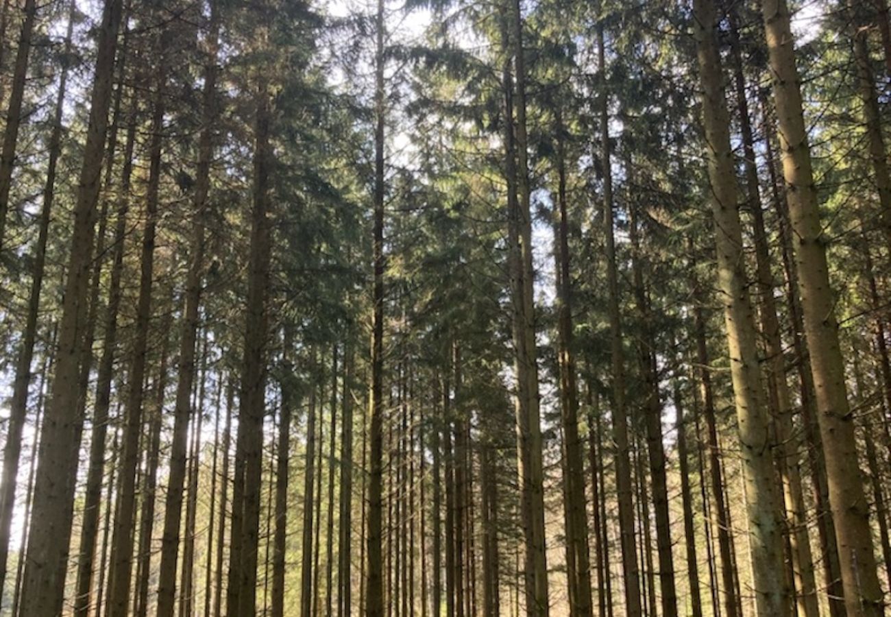 Ferienhaus in Röke - Urlaub an einem Waldsee in Skåne mit Boot