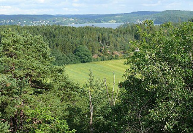 Ferienhaus in Stillingsön - Charmante Ferienhaus auf Orust an der Westküste von Schweden