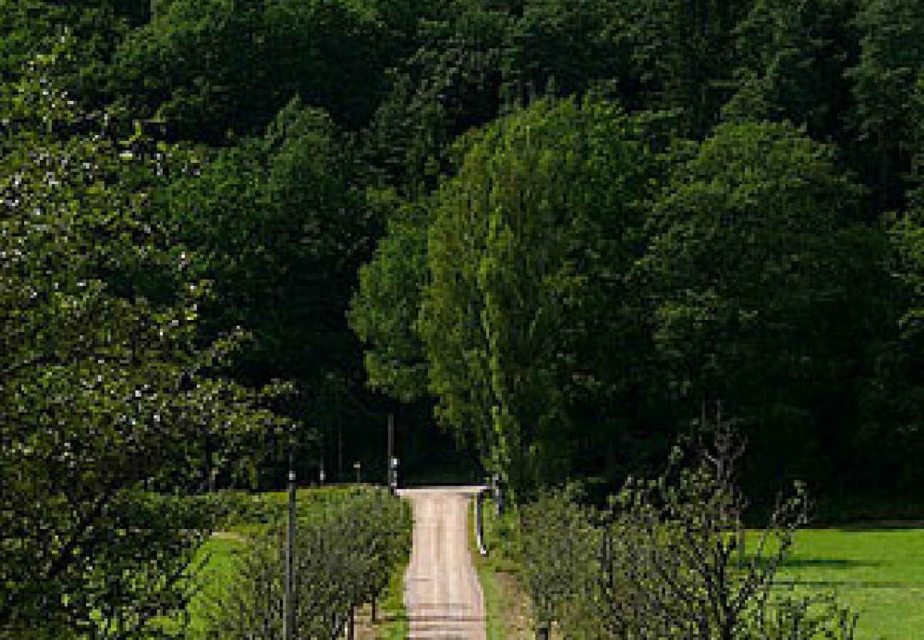 Ferienhaus in Stillingsön - Charmante Ferienhaus auf Orust an der Westküste von Schweden