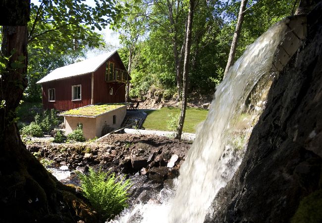 Ferienhaus in Alingsås - Urlaub und Angeln in wunderschöner Natur