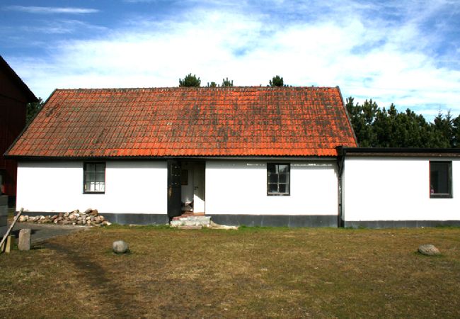 Beddingestrand - Ferienhaus