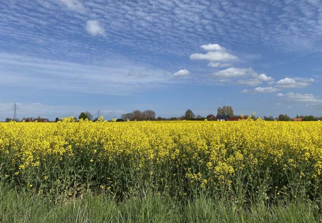 Ferienhaus in Vellinge - Ferienhaus unweit von Malmö naturschön