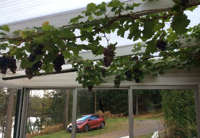 Ferienhaus in Hällingsjö - Urlaub an einem Badesee in Halland Ferienhaus in Hällingsjö - Urlaub an einem Badesee in Halland