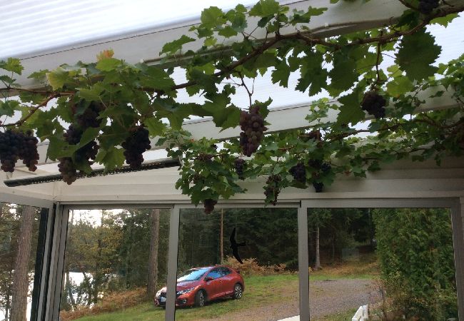 Ferienhaus in Hällingsjö - Urlaub an einem Badesee in Halland