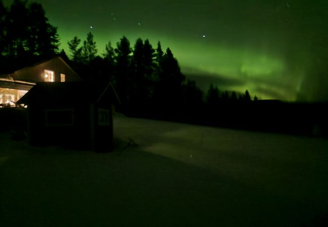 Ferienhaus in Gällö - Traumlage mit riesiger Terrasse direkt am See