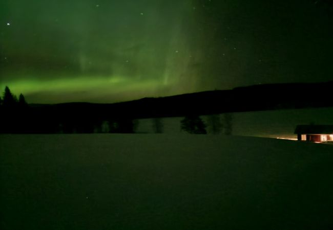 Ferienhaus in Gällö - Traumlage mit riesiger Terrasse direkt am See