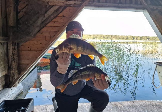 Ferienhaus in Gällö - Traumlage mit riesiger Terrasse direkt am See