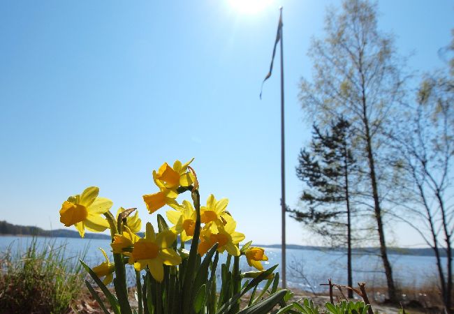 Ferienhaus in Säffle - Ferienhaus am See mit eigenem Badestrand