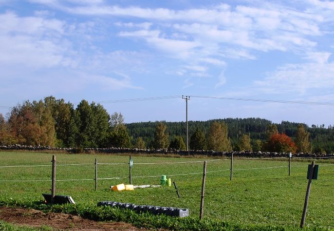 Ferienhaus in Ydre - Urlaub auf einem Bauernhof in Südschweden Ferienhaus in Ydre - Urlaub auf einem Bauernhof in Südschweden