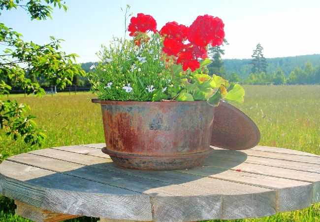 Ferienhaus in Ydre - Urlaub auf einem Bauernhof in Südschweden Ferienhaus in Ydre - Urlaub auf einem Bauernhof in Südschweden