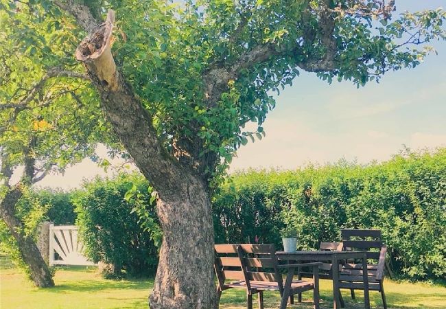 Ferienhaus in Ydre - Urlaub auf einem Bauernhof in Südschweden Ferienhaus in Ydre - Urlaub auf einem Bauernhof in Südschweden