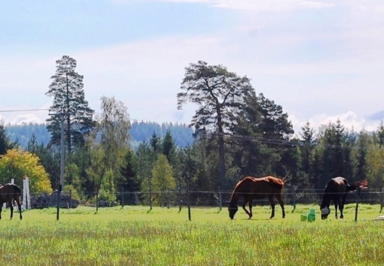 Ferienhaus in Ydre - Urlaub auf einem Bauernhof in Südschweden
