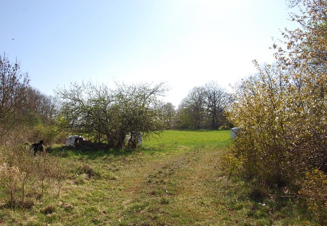 Ferienhaus in Jämjö - Urlaub mit Meerblick und eigenem Badestrand Ferienhaus in Jämjö - Urlaub mit Meerblick und eigenem Badestrand