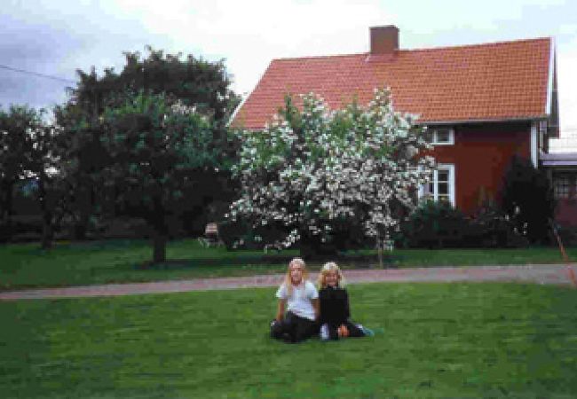 Ferienhaus in Mullsjö - Naturschön gelegenes Ferienhaus auf dem Lande