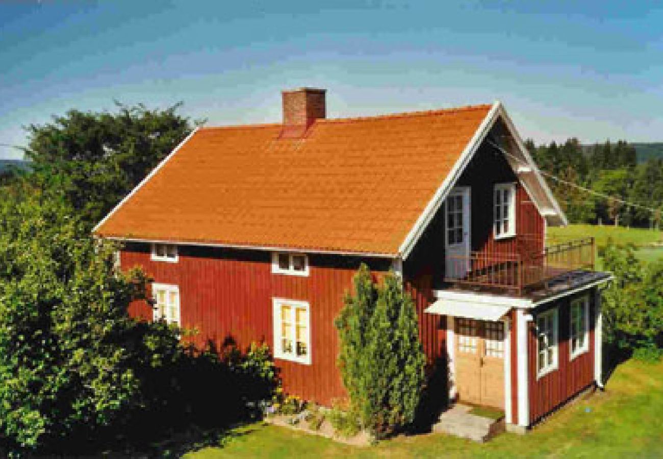 Ferienhaus in Mullsjö - Naturschön gelegenes Ferienhaus auf dem Lande