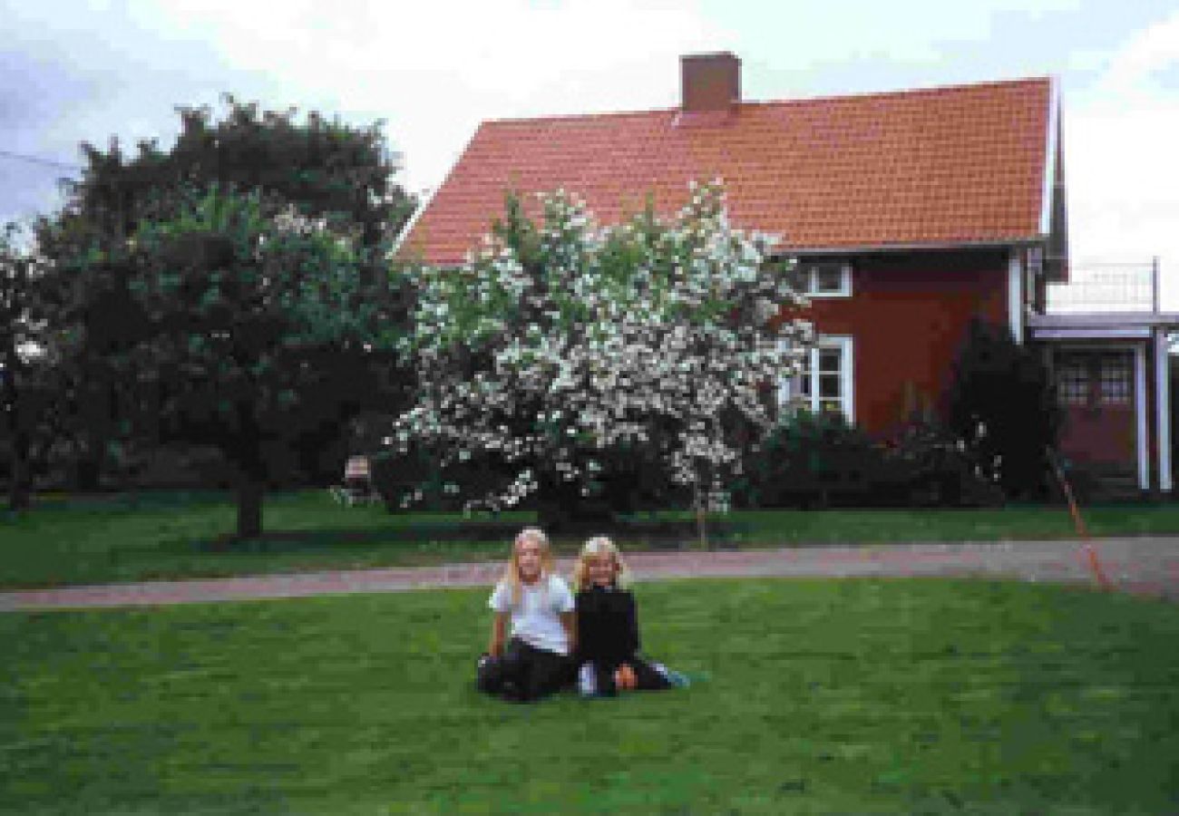 Ferienhaus in Mullsjö - Naturschön gelegenes Ferienhaus auf dem Lande