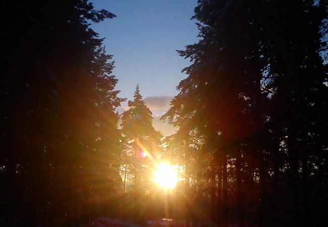 Ferienhaus in Ruda - Gemütliches kleines Ferienhaus auf dem Lande in Småland Ferienhaus in Ruda - Gemütliches kleines Ferienhaus auf dem Lande in Småland