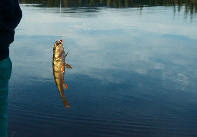 Ferienhaus in Mora - Ferienhaus direkt am See und Wasalaufstrecke Ferienhaus in Mora - Ferienhaus direkt am See und Wasalaufstrecke