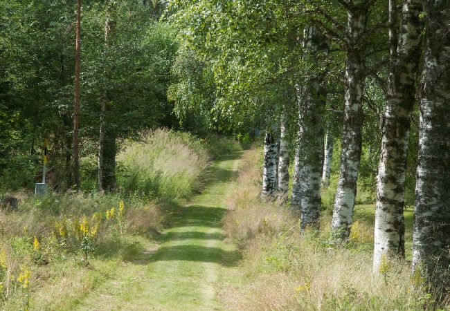 Ferienhaus in Mora - Ferienhaus direkt am See und Wasalaufstrecke Ferienhaus in Mora - Ferienhaus direkt am See und Wasalaufstrecke