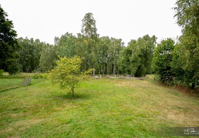 Ferienhaus in Halmstad - Schönes Ferienhaus bei Halmstad in Westschweden mit Hund