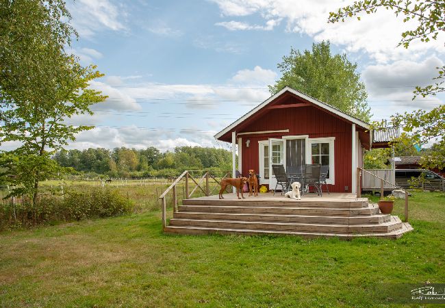Ferienhaus in Halmstad - Schönes Ferienhaus bei Halmstad in Westschweden mit Hund