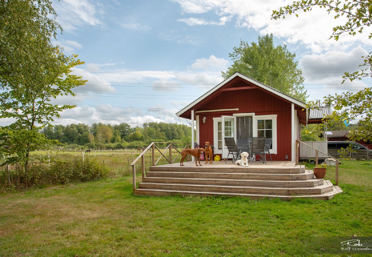 Ferienhaus in Halmstad - Schönes Ferienhaus bei Halmstad in Westschweden mit Hund