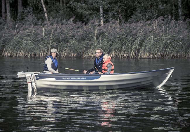 Ferienhaus in Väckelsång - Komfort-Ferienhaus mit Seelage, Motorboot und Pool