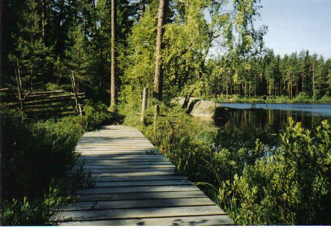 Ferienhaus in Älmeboda - Urlaub mit Lachsangeln und tiefen Wäldern Ferienhaus in Älmeboda - Urlaub mit Lachsangeln und tiefen Wäldern