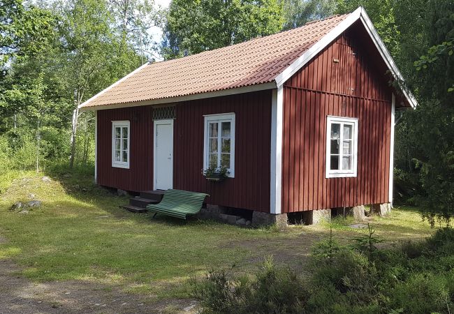  in Älmeboda - Urlaub mit Lachsangeln und tiefen Wäldern