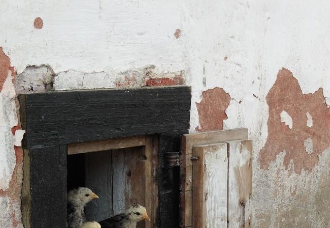 Ferienwohnung in Sköldinge - Högra lägenheten Ferienwohnung in Sköldinge - Högra lägenheten