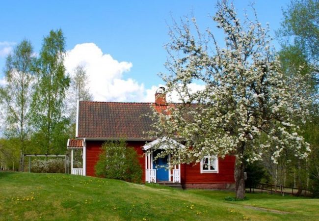 Ferienhaus in Eksjö - Urlaub auf dem Lande unweit von Astrid Lindgrens Welt