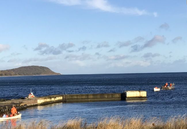 Ferienhaus in Simrishamn - Havspärla Hönshuset