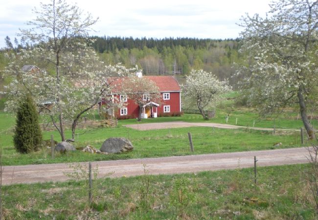 Ferienhaus in Gränna - Grosses Ferienhaus 10 Minuten vom wunderschönen Vätternsee