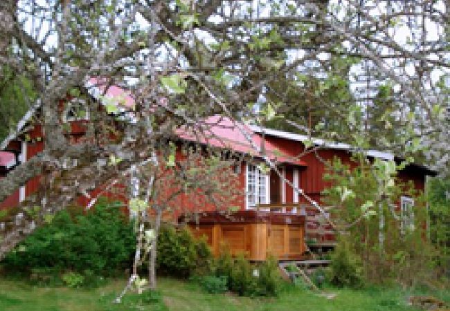 Ferienhaus in Mariefred - Urlaub im Land der Schlösser und Burgen