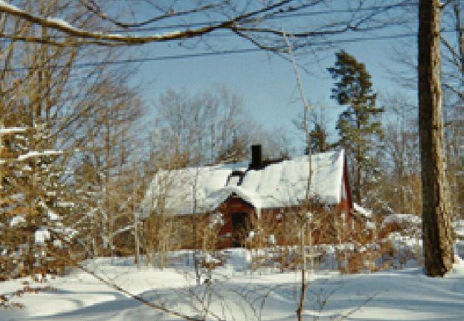 Ferienhaus in Arkelstorp - Jantorp