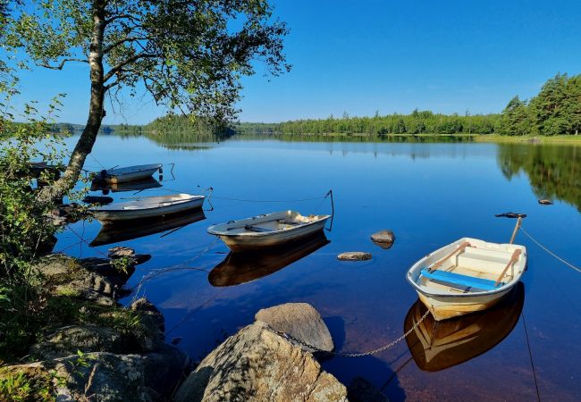 Ferienhaus in Hallaryd - Urlaub am See mit Seeblick und Internet