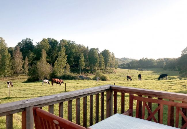 Ferienhaus in Valdemarsvik - Urlaub auf dem Lande im Ferienhaus mit Wifi und Boot