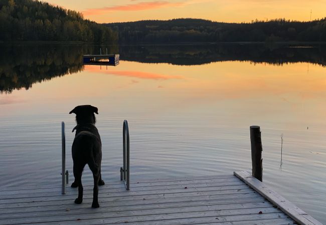 Ferienhaus in Valdemarsvik - Urlaub auf dem Lande im Ferienhaus mit Wifi und Boot