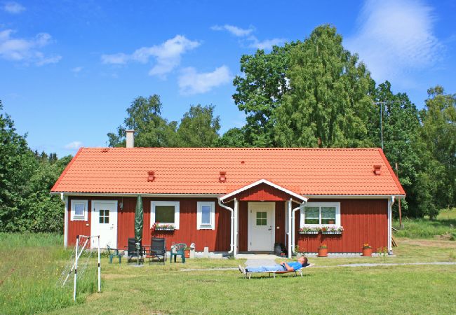 Ferienhaus in Ryd - Urlaub auf einem Landhof mit Pferden und Ponnys