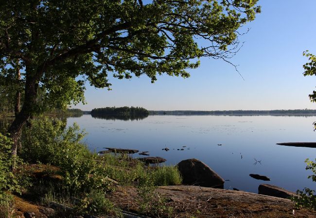 Ferienhaus in Väckelsång - Traumurlaub am See mit Motorboot und Pool vor der Tür