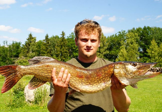 Ferienhaus in Väckelsång - Traumurlaub am See mit Motorboot und Pool vor der Tür