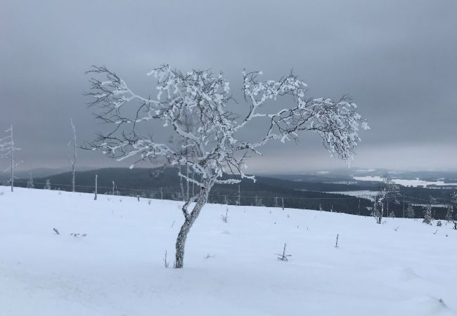 Ferienhaus in Sysslebäck - Toplage in der Bergregion Nordvärmlands