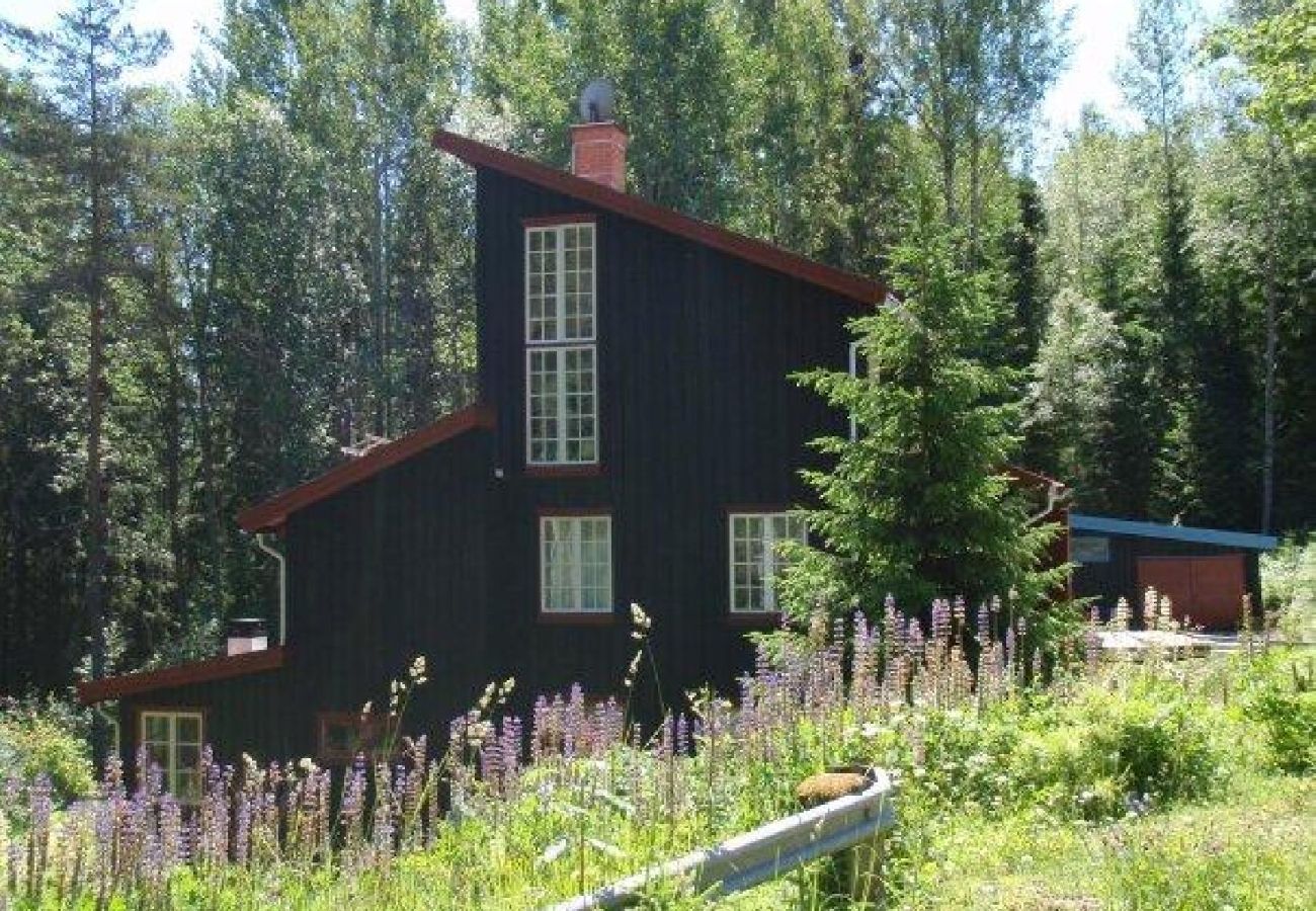 Ferienhaus in Dals Långed - Architektonisch auffallendes Ferienhaus an einem Waldsee mit Seeblick