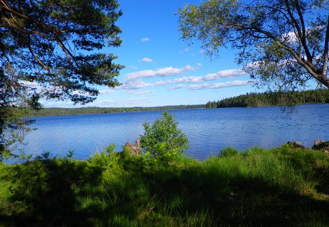 Ferienhaus in Ambjörnarp - Urlaub unweit vom See mit Möglichkeit zum Angeln und Bootsfahren