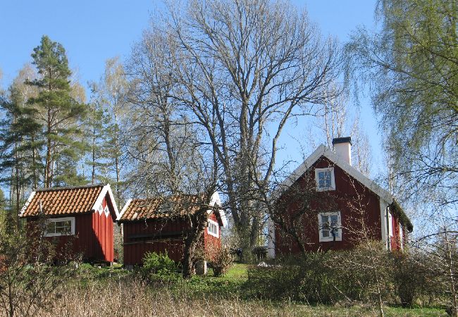 Ferienhaus in Sköldinge - Flendiverna